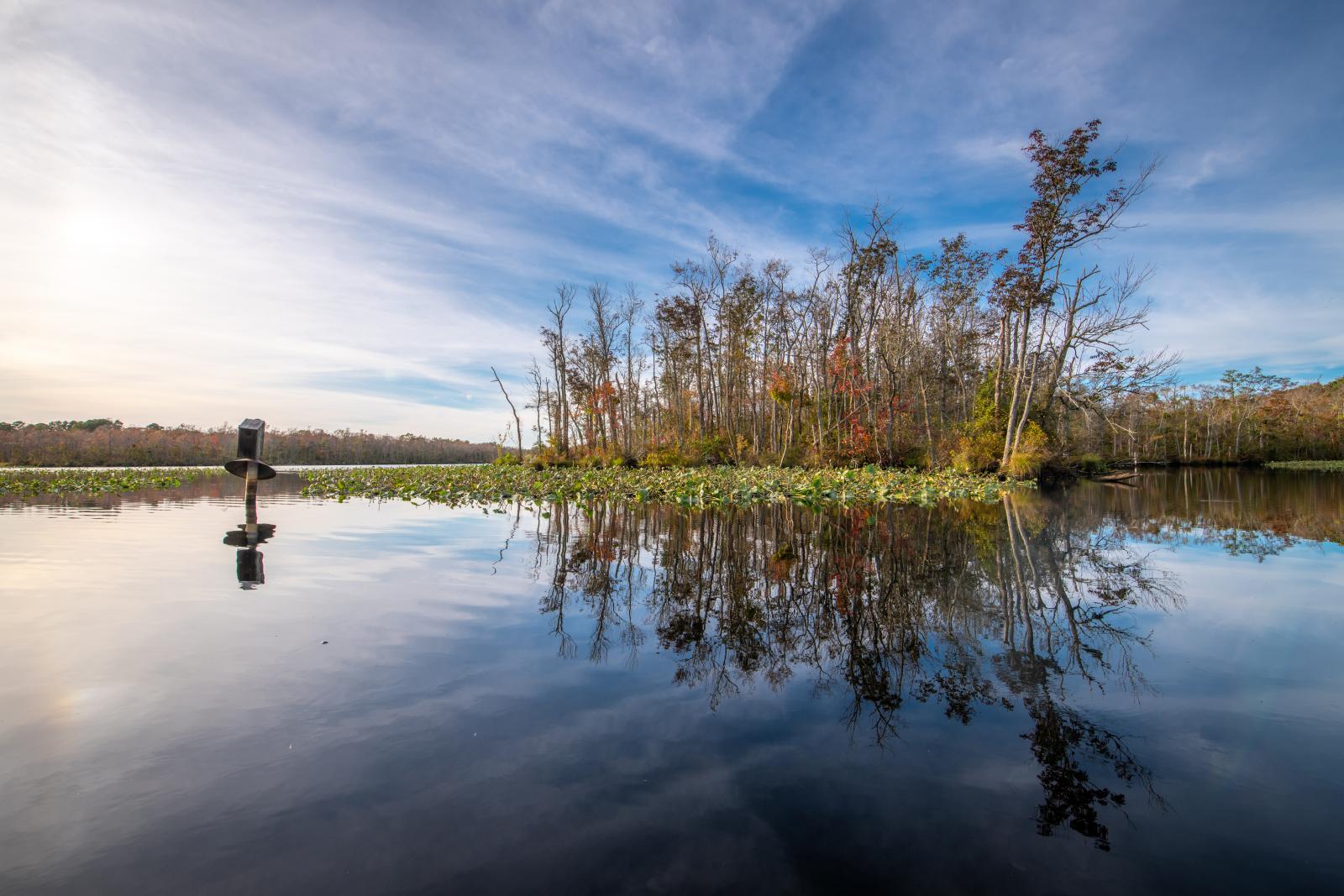 Body of water with a large marsh.